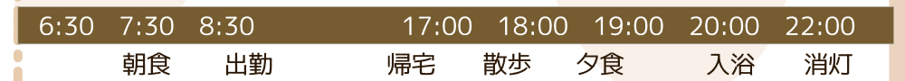 1日の流れ